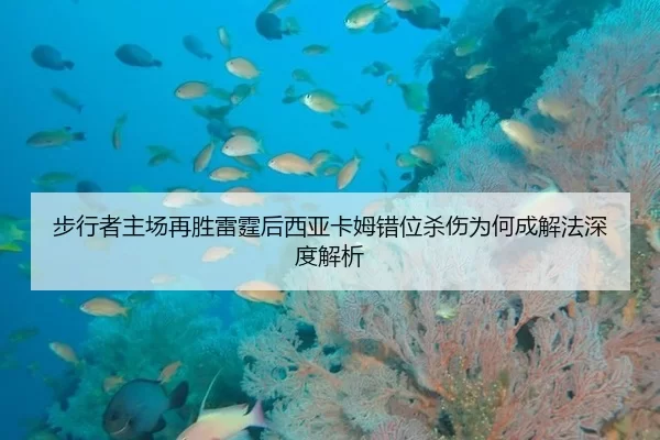 bu-xing-zhe-zhu-chang-zai-sheng-lei-ting-hou-xi-ya-ka-mu-cuo-wei-sha-shang-wei-he-cheng-xie-fa-shen-du-jie-xi-1-297.jpg